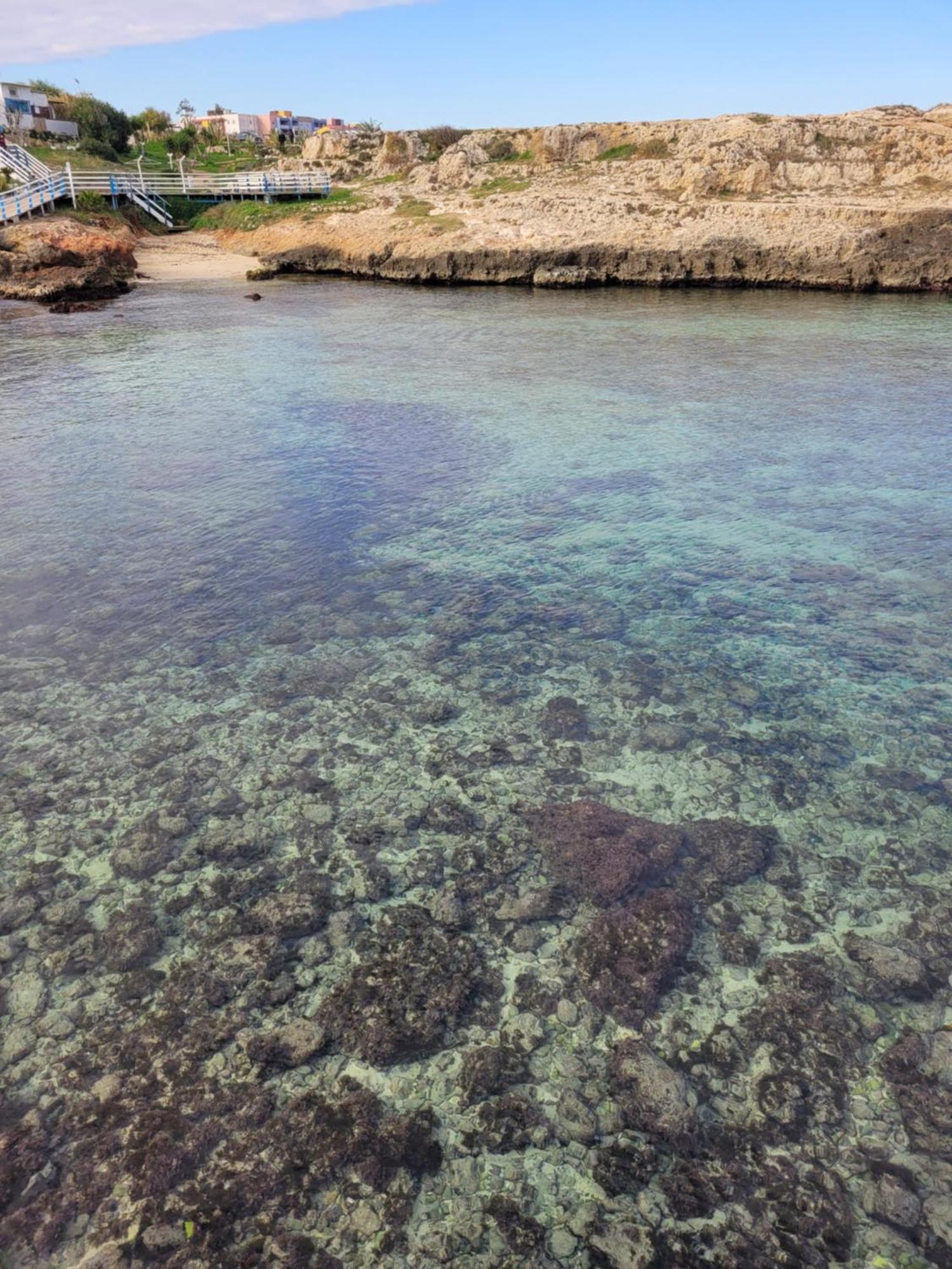 Cala Paradiso Monopoli Luaran gambar