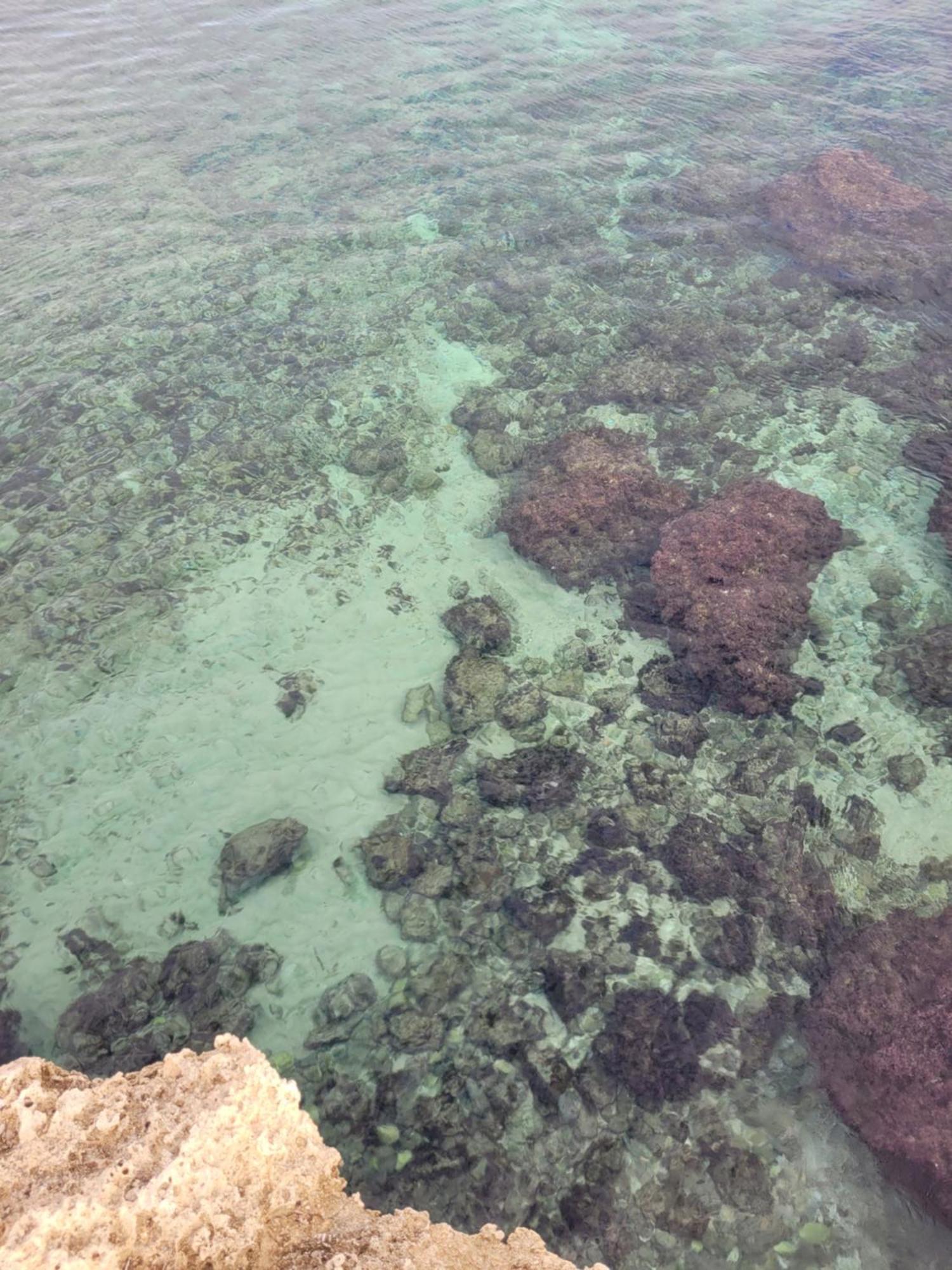 Cala Paradiso Monopoli Luaran gambar